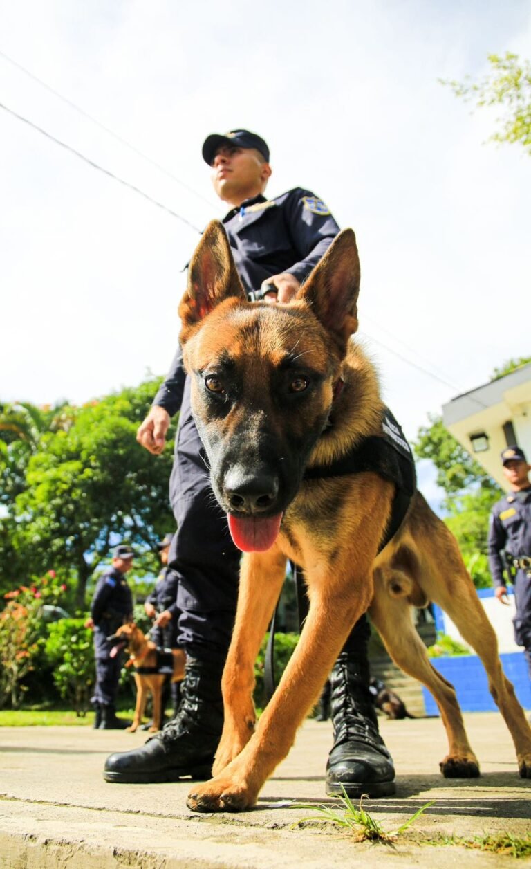 La PNC y la embajada de Estados Unidos  culminaron curso de combate al narcotráfico