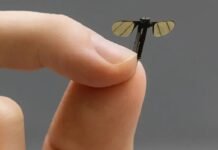 Mosquitos robots, el arma secreta de China